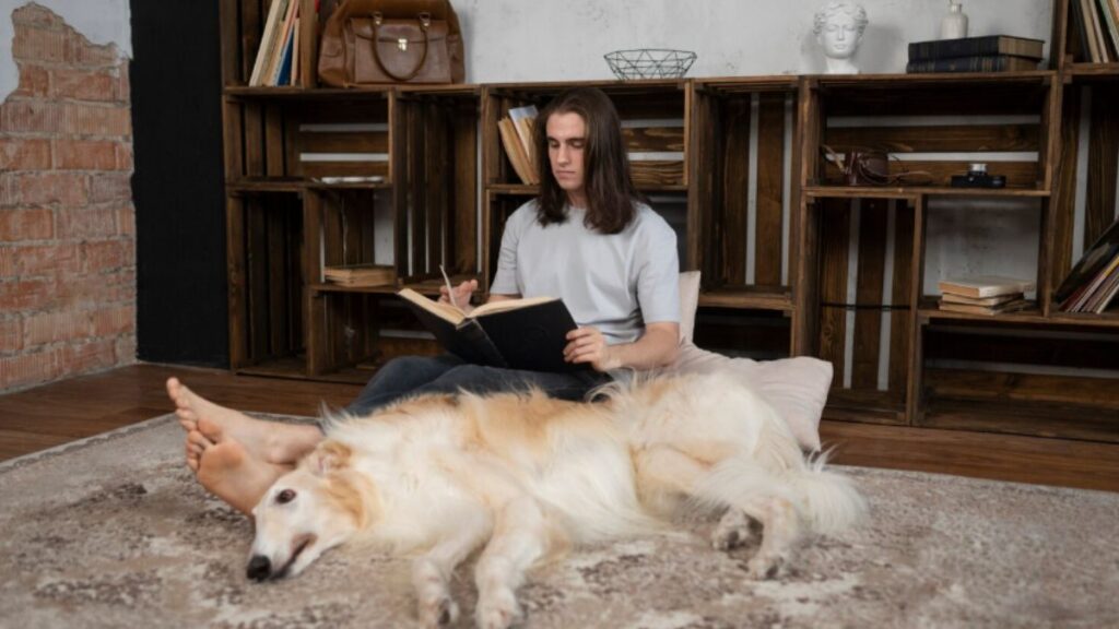 Jay Labrador Unique Perspective: What Sets His Blog Apart